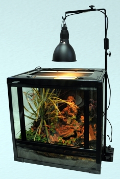 Lamp Support "2 in 1" Lampenständer Lucky Reptil Farbe schwarz